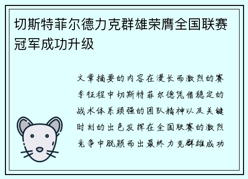 切斯特菲尔德力克群雄荣膺全国联赛冠军成功升级 切斯特菲尔德力克群雄荣膺全国联赛冠军成功升级